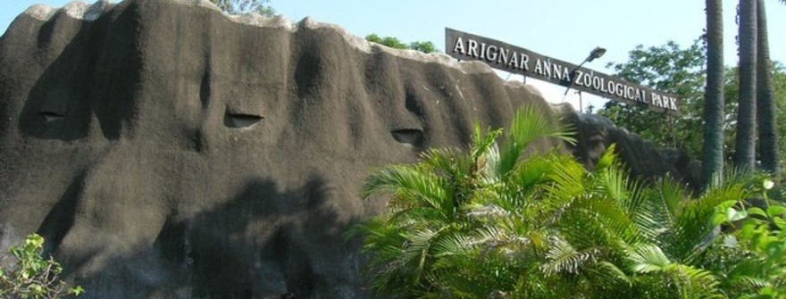 Arignar Anna Zoological Park – Chennai