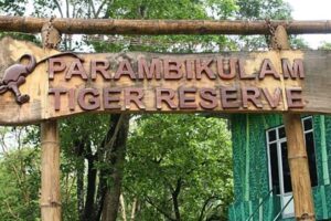 Top Slip, Parambikulam Tiger Reserve