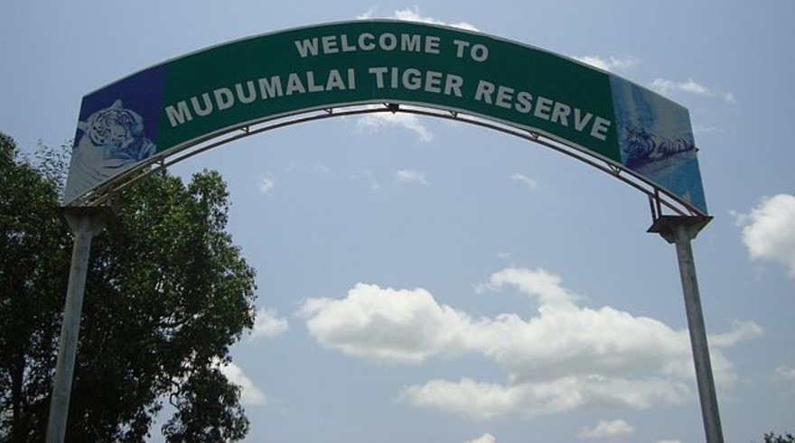 Mudumalai National Park
